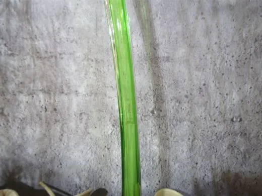 Glasskulptur in grün/ PAGLIA di Vetro