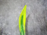 Glasskulptur in grün/ PAGLIA di Vetro
