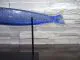 Glaskunst in blau/ PESCE di Vetro
