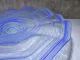 Glasschale in blau/ RICCIOLO di Vetro
