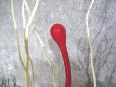 Glasskulptur in rot/ STELI di Vetro